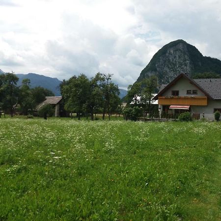 Apartmaji Bremec Bohinj Bagian luar foto