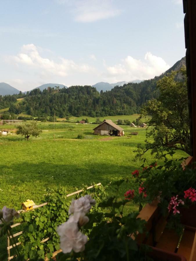 Apartmaji Bremec Bohinj Bagian luar foto