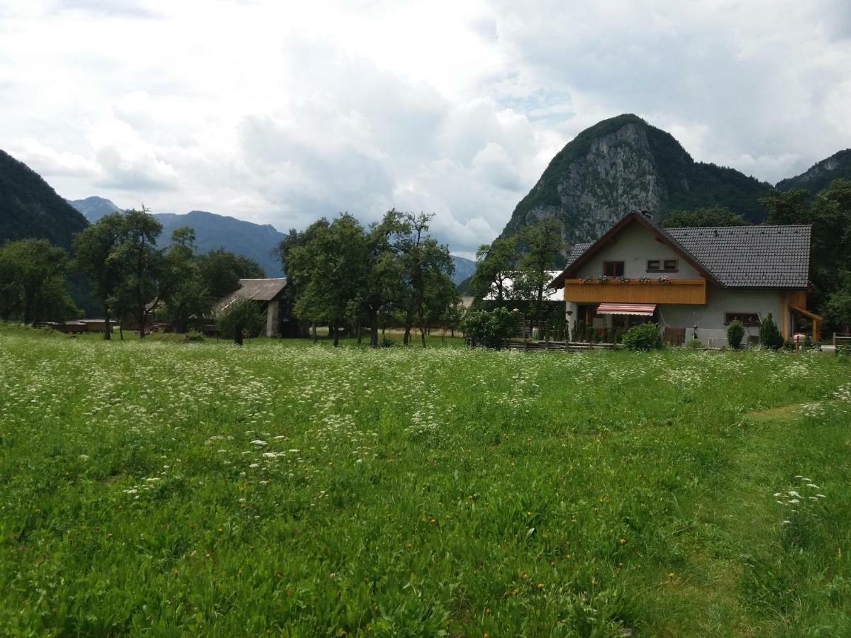Apartmaji Bremec Bohinj Bagian luar foto